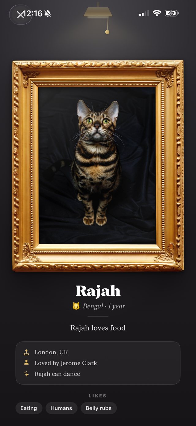 A museum-style portrait of a cat named Rajah