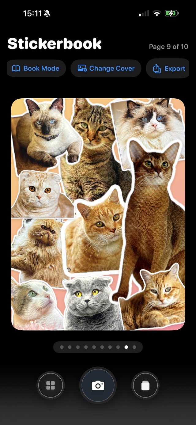 A stickerbook page packed with cat stickers