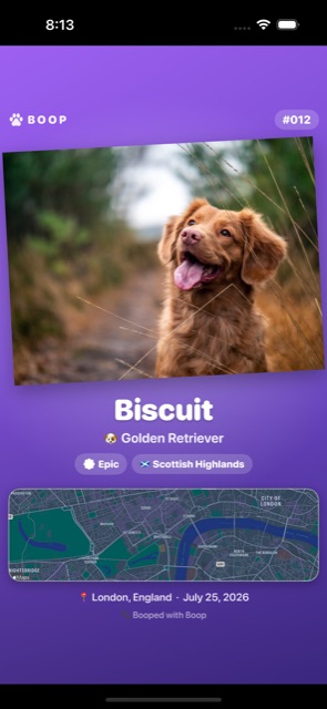 A share card
